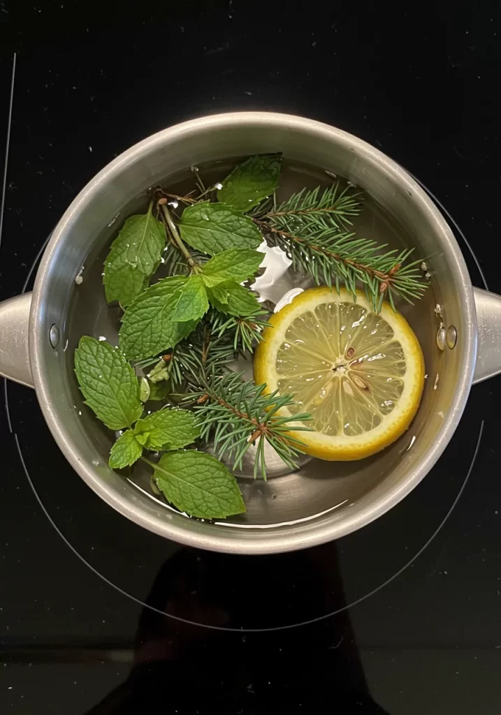 Invigorating Mint, Lemon & Pine Simmer