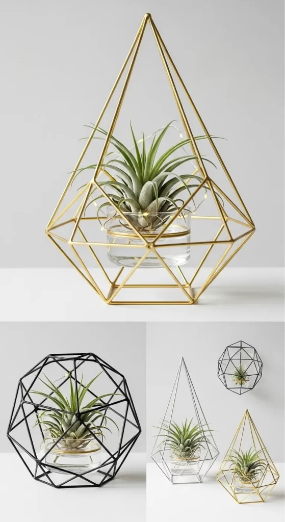 The Geometric Air Plant Enclosure