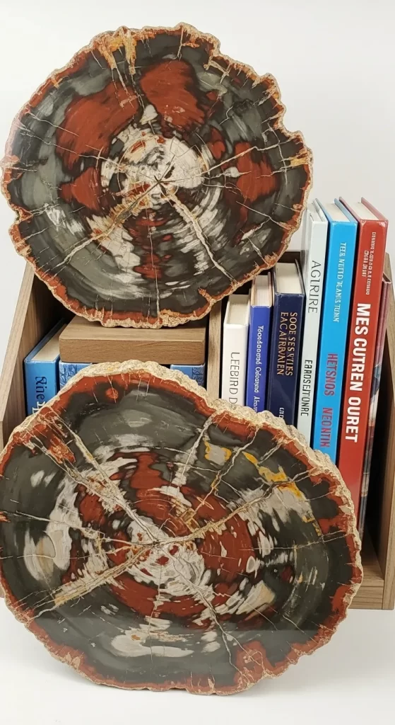 The Petrified Wood Bookends