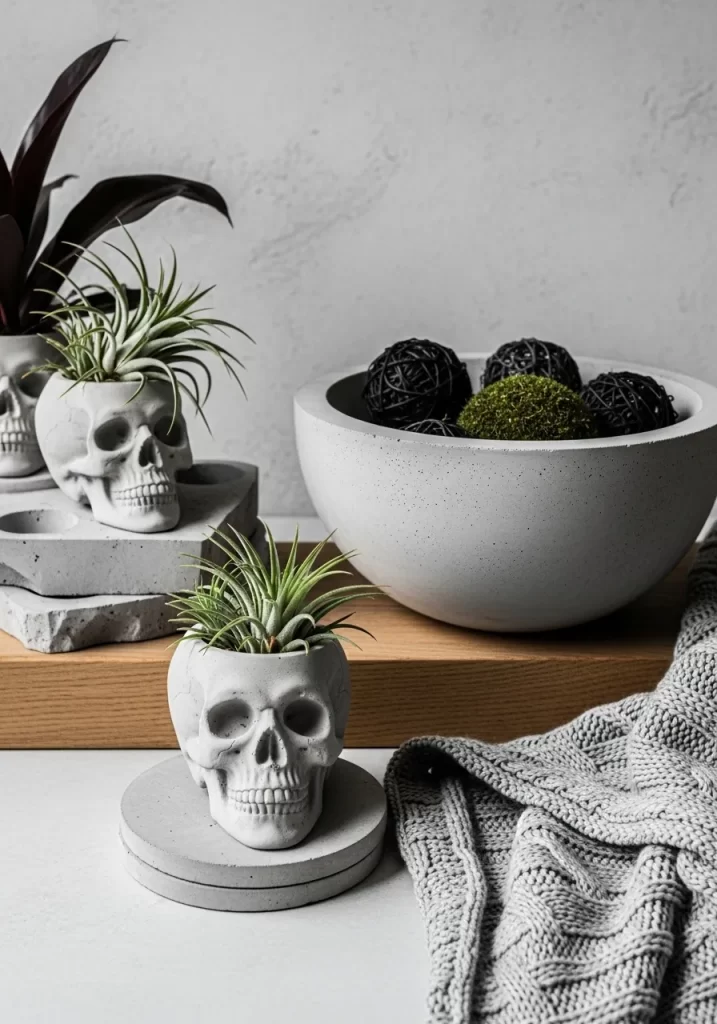 Edgy Skull Air Plant Holders