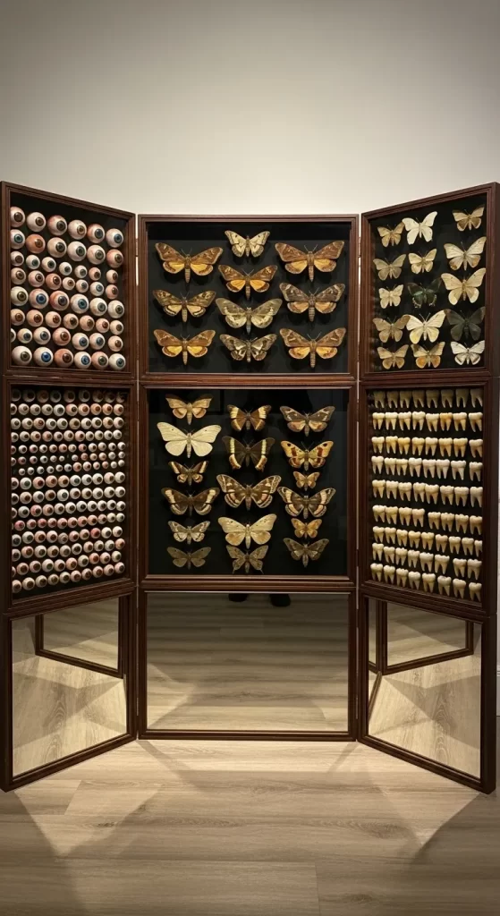 The Collector's Cabinet of Curiosities