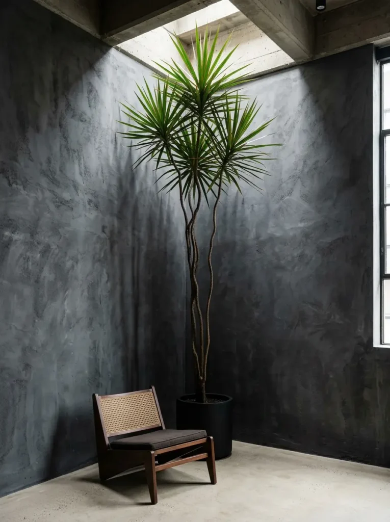 Tall Skinny Indoor Plan Tall skinny tropical plant in a black pot reaching toward a skylight in a gray corner.