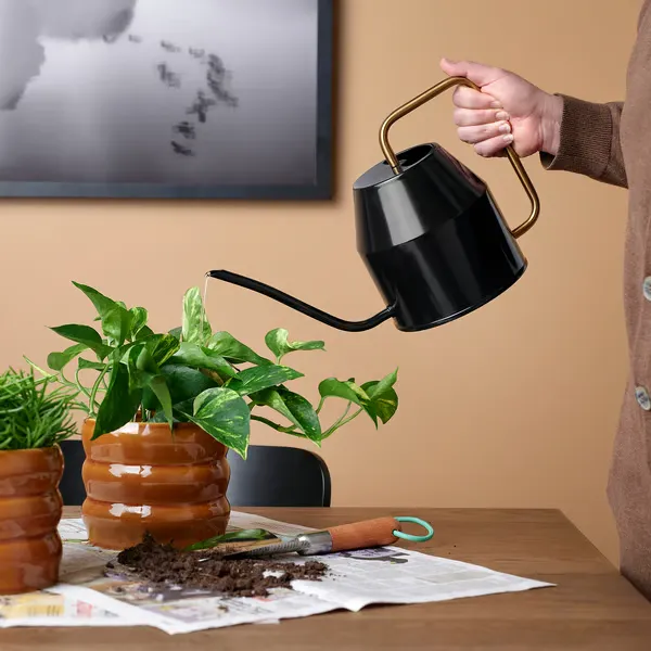 IKEA home decor finds