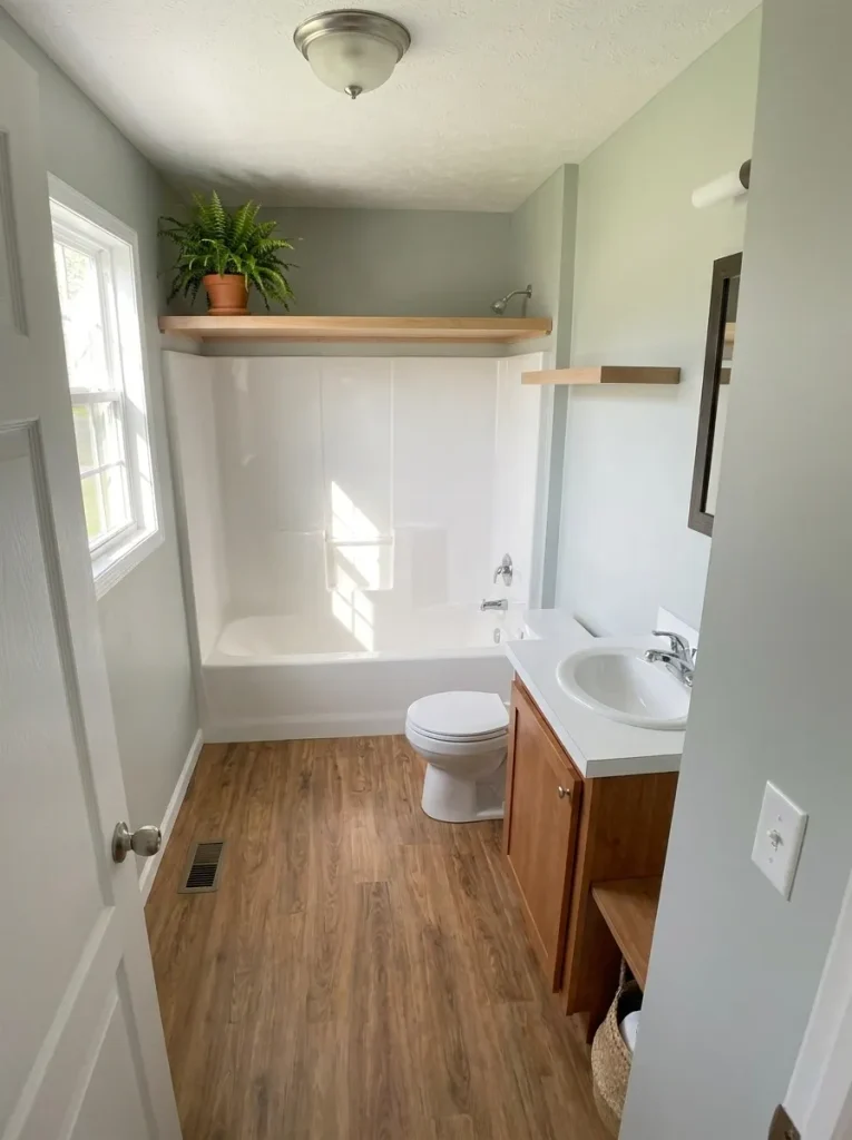 Small plant near a bathroom window while the mobile home vanity counter stays clear.