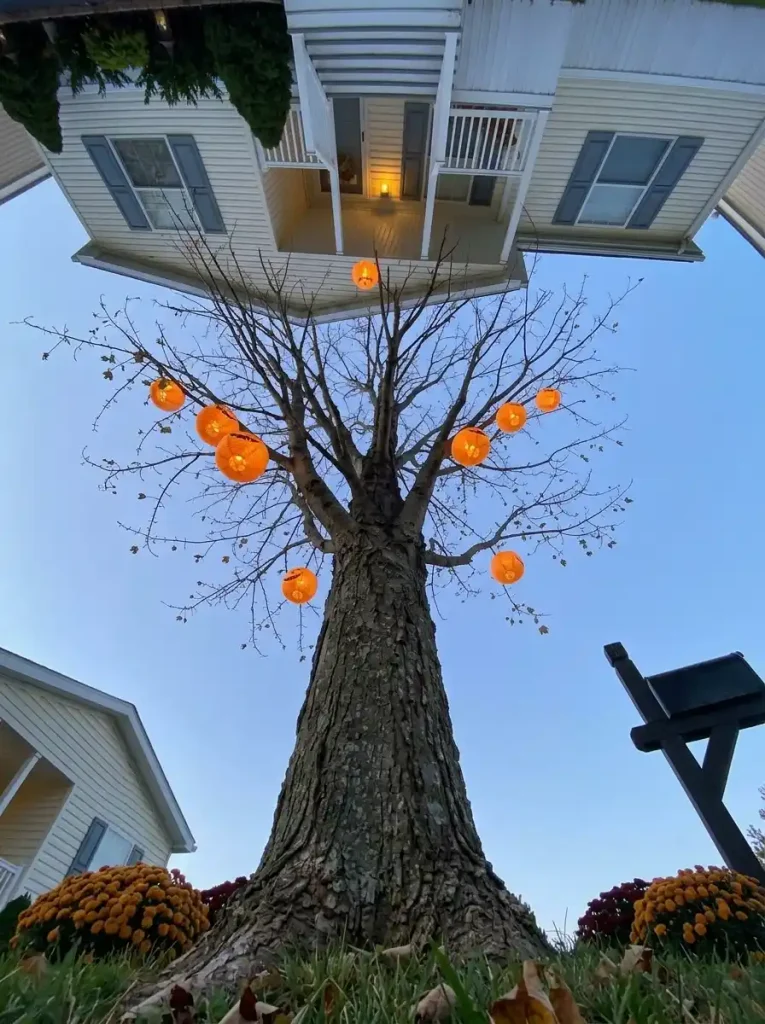 Hanging pumpkin lanterns at varied heights in a tree above the open lawn of a mobile home front yard.