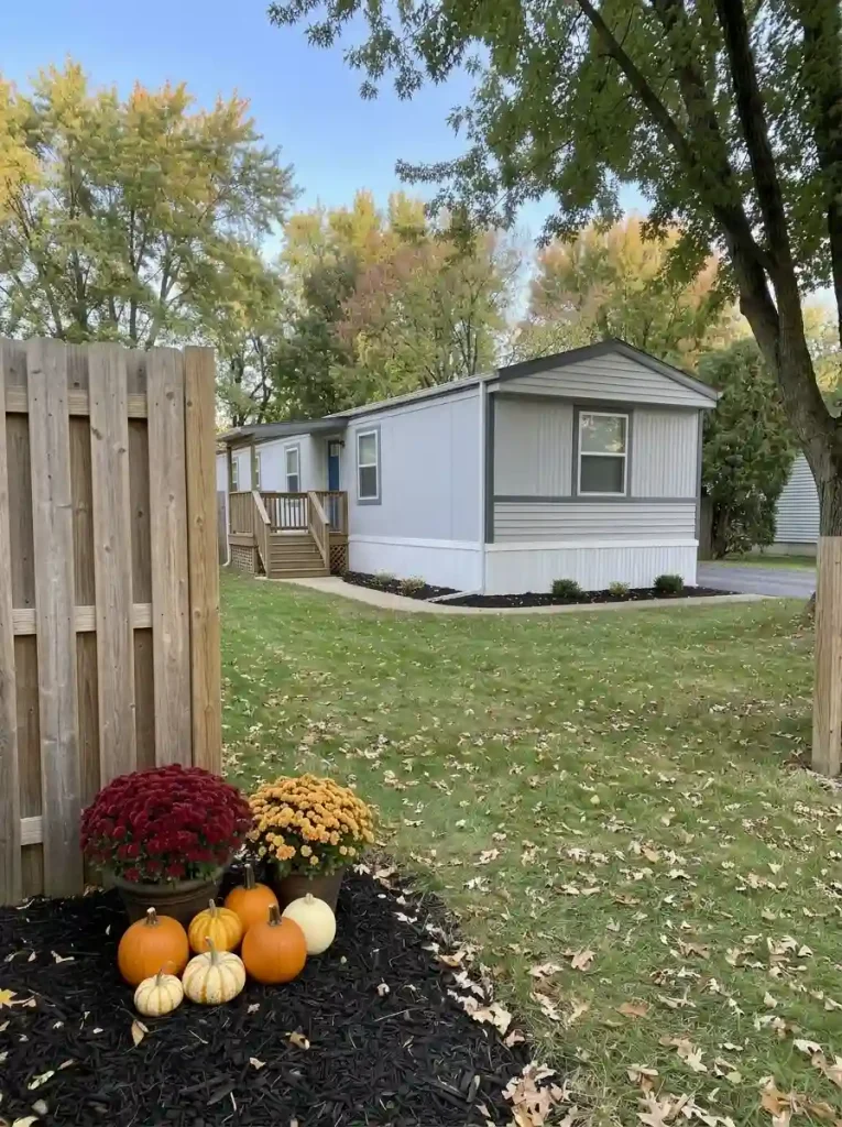 Red and golden mum pots with pumpkins in a sunny fence corner, beside an open gate approach.